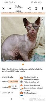 Pozor na podvodnici sphynx