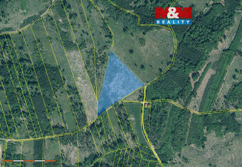 Prodej lesa, 29198 m², Jetětice