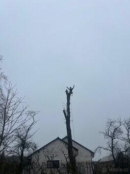 Kácení stromů, údržba zahrad, pořež kulatiny