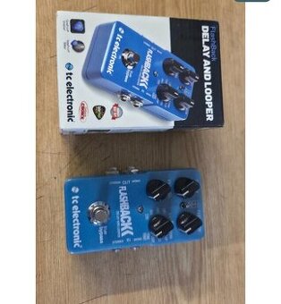 Delay and looper