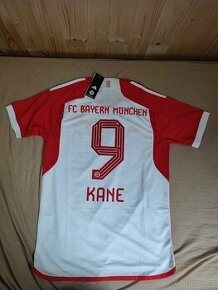 Dres Bayern München Kane