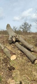 Lipové dřevo, různé délky