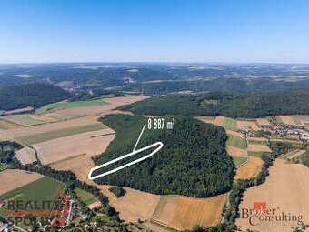 Prodej, pozemky/les, 8887 m2, Lomnička , Brno-venkov [ID 753