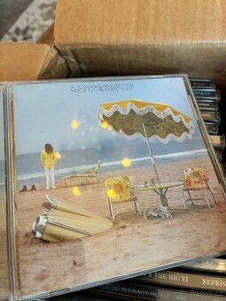 Neal young 19 cds disks like new.