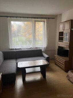 Byt 1+1, Březenecká, Chomutov