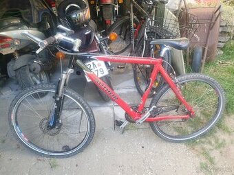 Author versus sx velikost 21