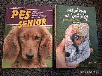 Pes senior, Malujeme kamínky