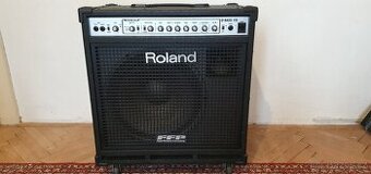 Baskytarové kombo Roland D-Bass 115