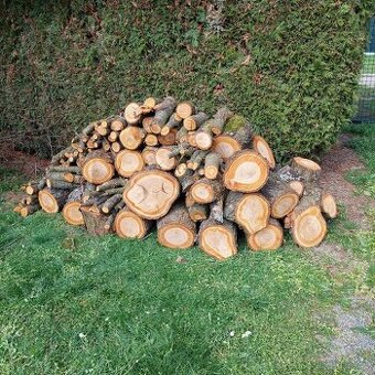 Prodám dřevo na uzení