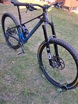 Monraker Foxy RR 2022