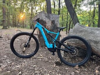 Specialized Turbo Levo Comp L 29 (2019)