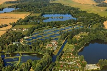 Pozemek ve Vodňanech