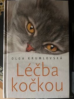 Lecba kockou