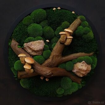 Mechový obraz / obraz ze stabilizovaného mechu