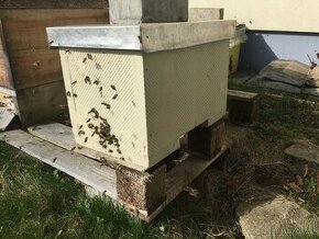 Včelí  oddělky 39  x 24