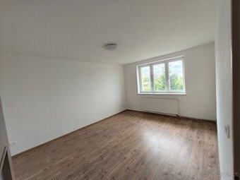 Pronájem bytu 1+1 46m2, Pohledy