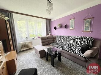 Prodej bytu 1+1 v Nové Roli, ul. Pod Nádražím