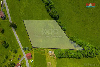 Prodej louky, 3867 m², Zlatá Olešnice