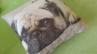 polštář mops - 1