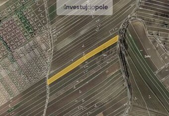 Prodej vinice v k.ú. Čejkovice