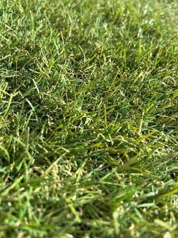 Luxusní umělý trávník 5,2x 4 m