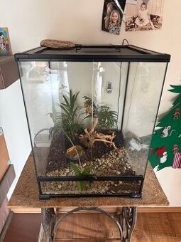 Terárium Reptiplanet