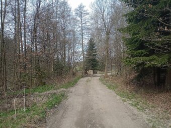 Prodám galerii  kamenných soch " Zrcadlo duše" v Liberci