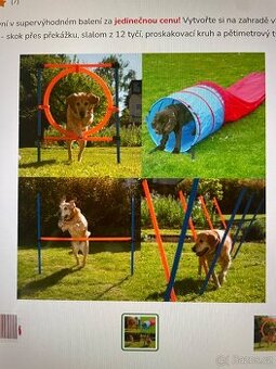 Agility překážky