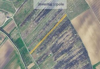 Prodej pozemku v k.ú. Lovčičky - 1