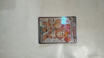 Pokémon karta Arcanine EX 224/198