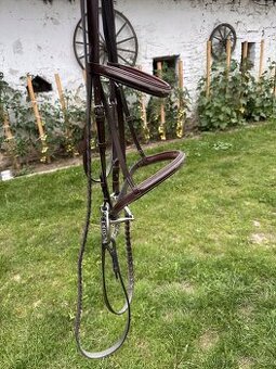 Uzdečka anglická (hunter under saddle)