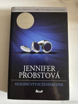 Hledání vytouženého dne - Jennifer Probst