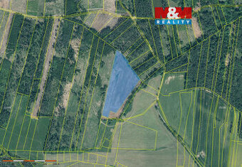 Prodej lesa, 32445 m², Jetětice