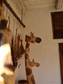 Dřevéné sošky žiraf