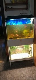 Dvě zánovní akvária se stojanem světlem skříňkou - 1