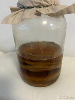 Kombucha