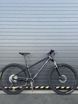 Norco Fluid HT 2 (2021)