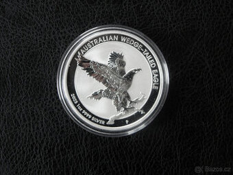 Australian Wedge-Tailed Eagle 2023