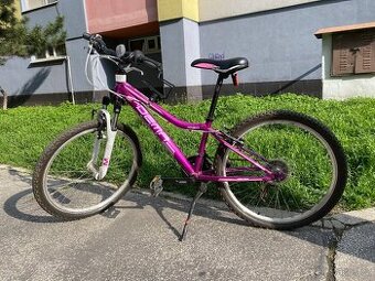 Bicykel 24