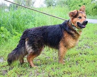 IGOR K ADOPCI- 2 ROKY, MILÝ,KONTAKTNÍ, VDĚČNÝ