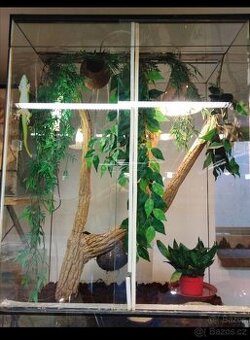 Terárium nové 40x40x80 pro chameleona a jine stromové gekony