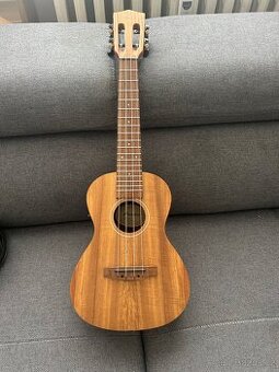 BAMBOO U-23 KOA-Q
