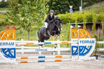 Skoková klisna na prodej