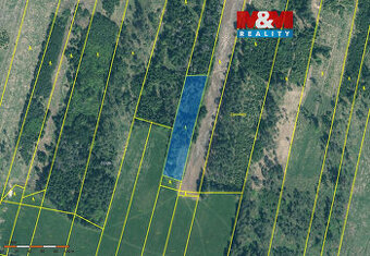 Prodej lesa, 4993 m², Jetětice