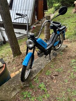 Babetta 210, piaggio typhoon 125