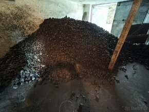 Uhlí ořech cca 15 q