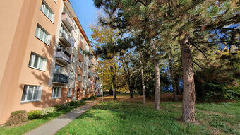 Byt 3+1, 63 m2 v Olomouci, Kmochova ulice