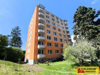 Veverská Bítýška, byt OV 3+1, sklepní kóje, balkón - byt