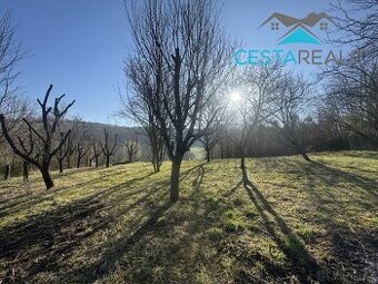 Prodej stavebního pozemku, 4380 m2 - Suchov, ev.č. 01043 - 1