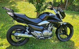 SUZUKI Inazuma GW 250